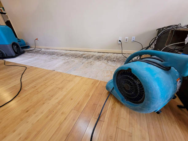 Professional Ceiling Water Damage Repair technician working in Wellsville, KS